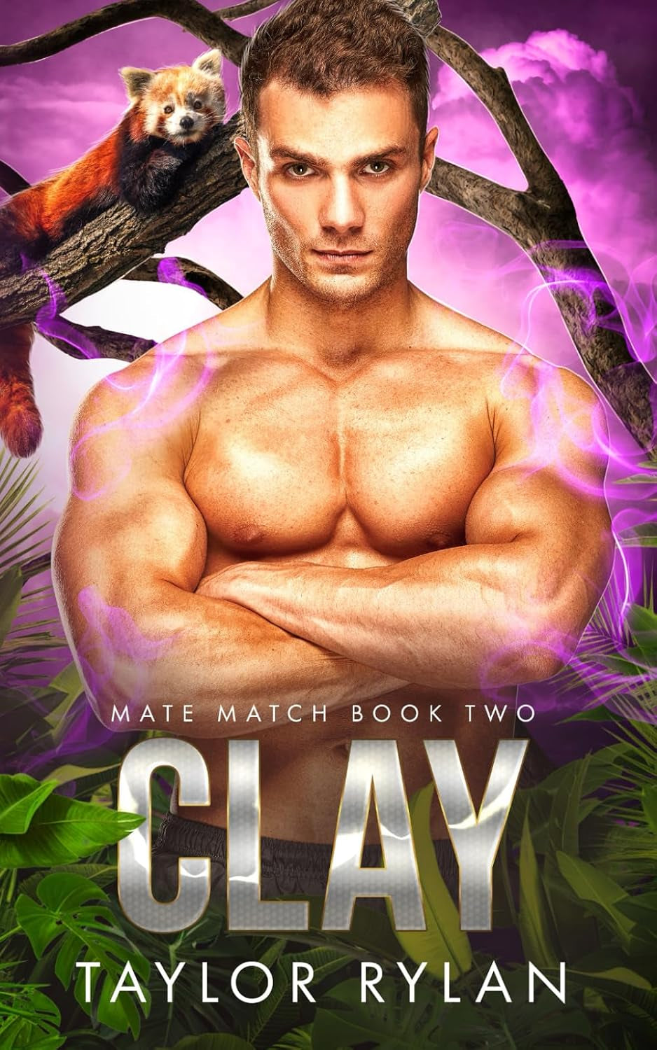 Clay: Mate Match Book Two