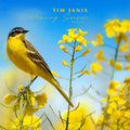 Tim Janis Morning Sunrise Volume Two Audio Traditional Hymns - Elevate Mornings with Relaxing Instrumental Hymns Soft Piano Melodies & Soothing Inspirations , Relaxation Music Songs for Stress Relief
