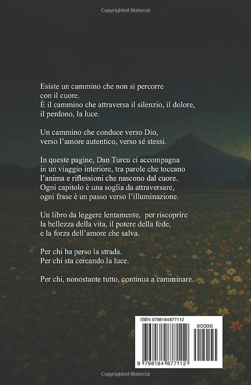 Il cammino che porta all'illuminazione (Italian Edition)