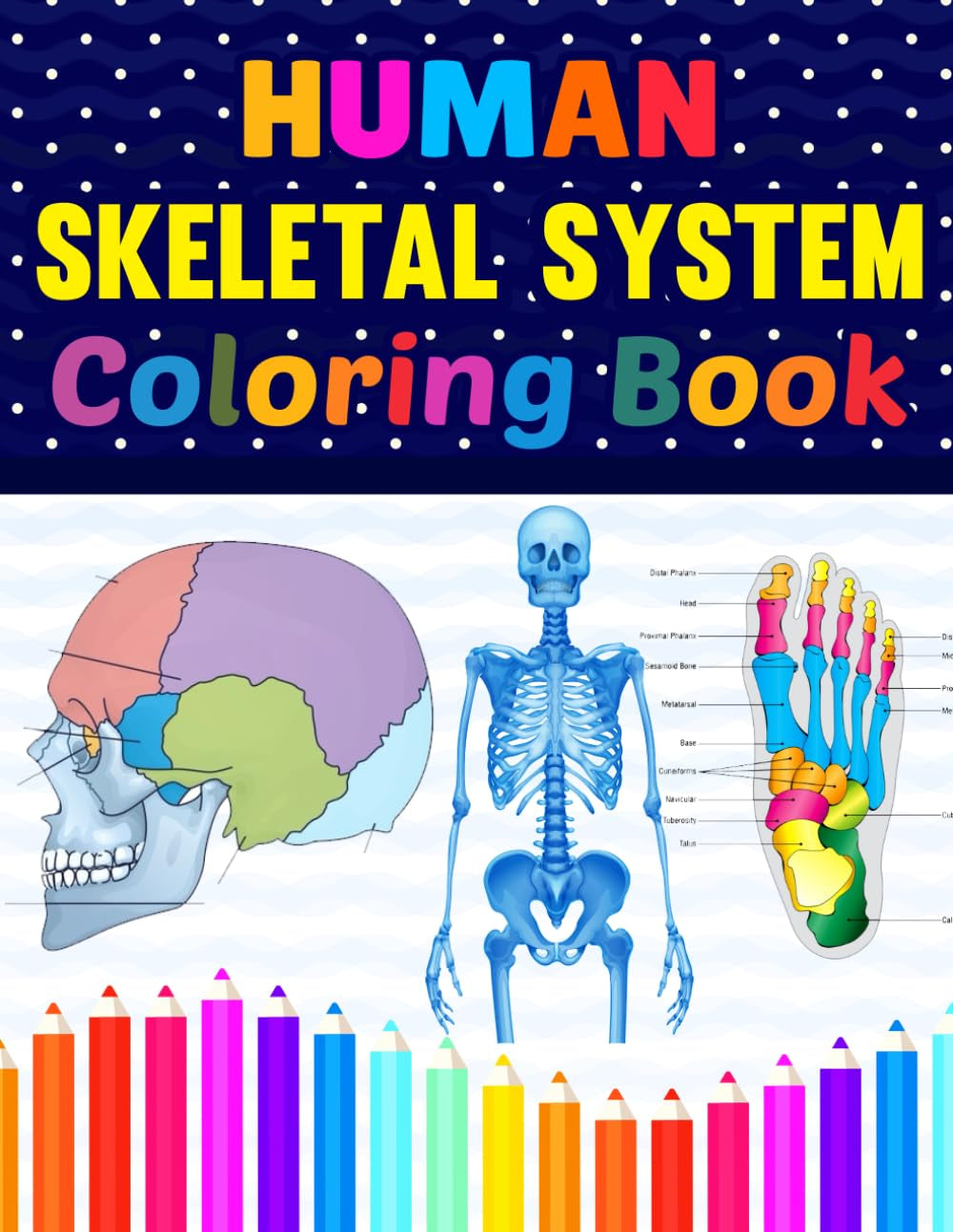 Human Skeletal System Coloring Book: Learn the Anatomy of the Skeletal System. Great Body System Anatomy Book For Kids Adults Teens and Medical Students.