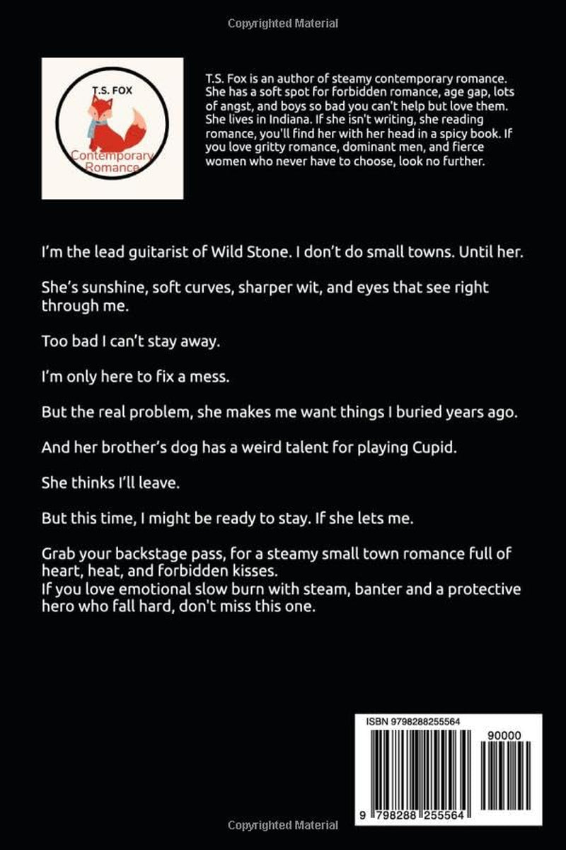 Rockstar Storm: Forbidden Love Small Town Romance (Wild Stone Rockstars)