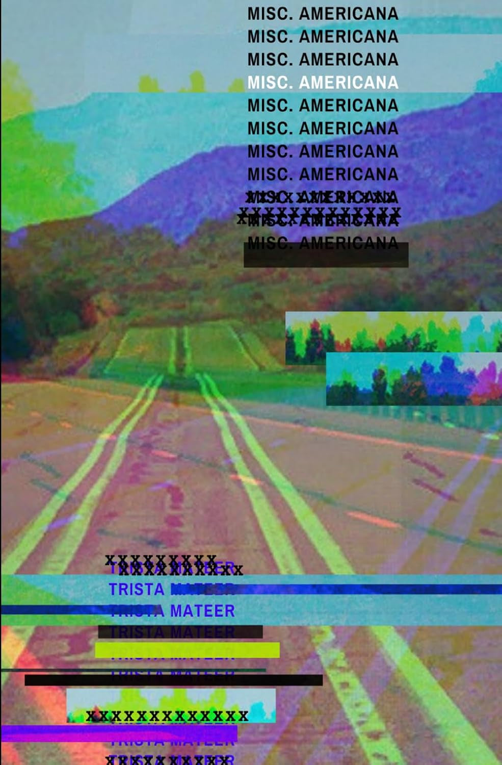Misc. Americana: poems