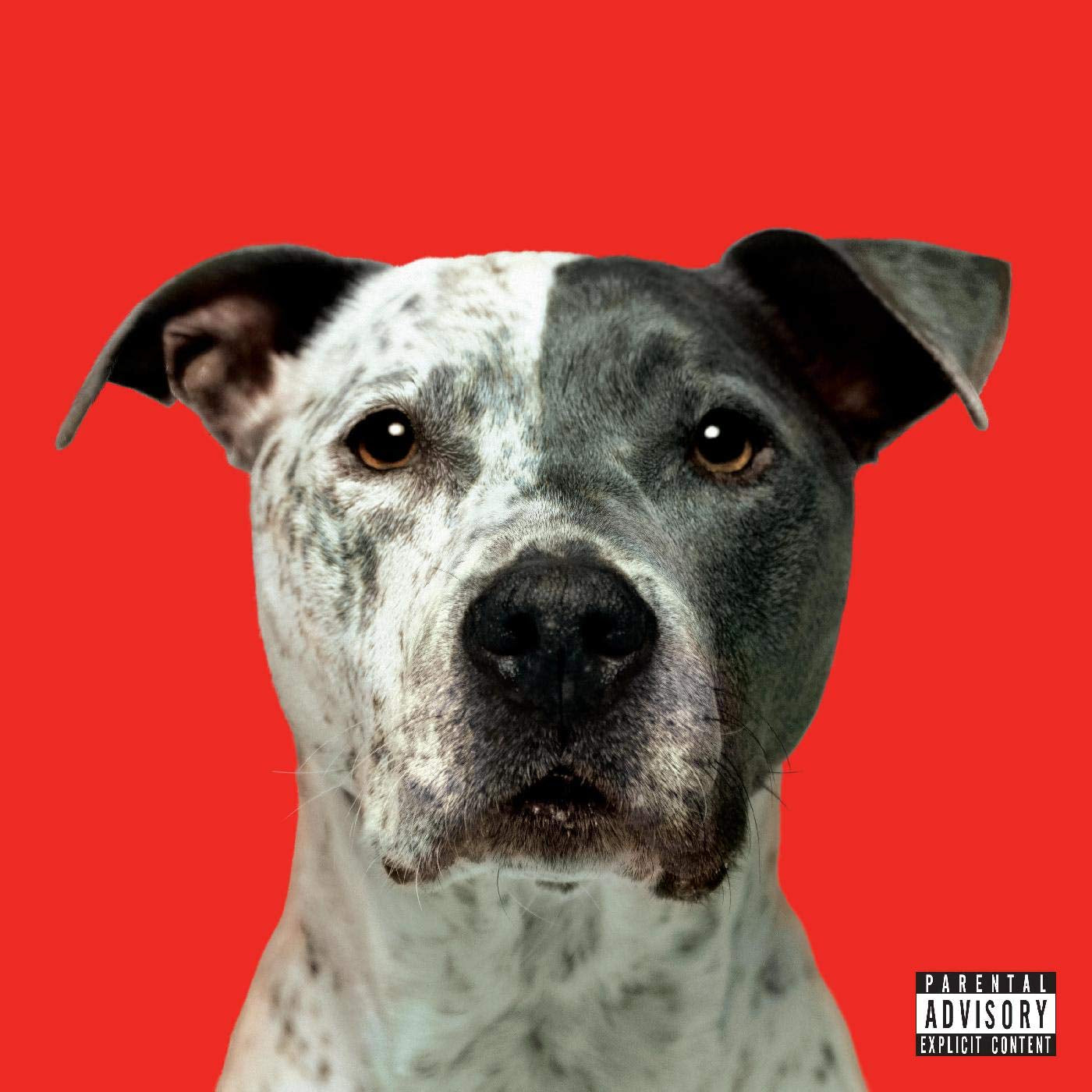 Flight Explicit Lyrics
