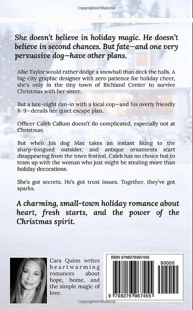 Accidentally Kissed: A Sweet Small Town Christmas Romance (Accidentally Ever After Series Book 4)