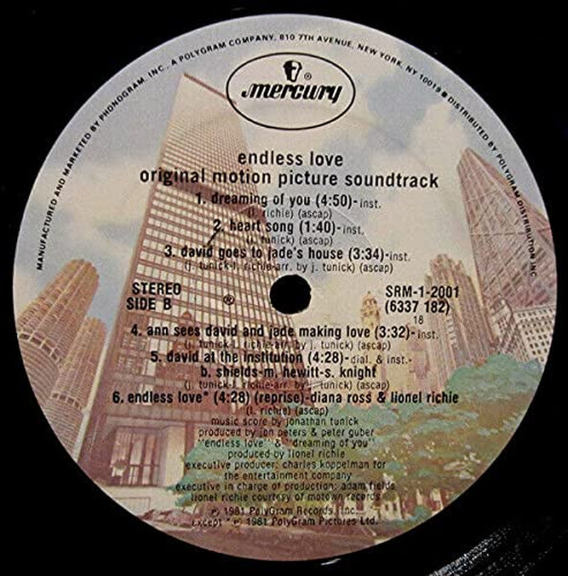 Endless Love - Motion Picture Soundtrack - Vintage Vinyl LP 1981 SRM-1-2001 - NM