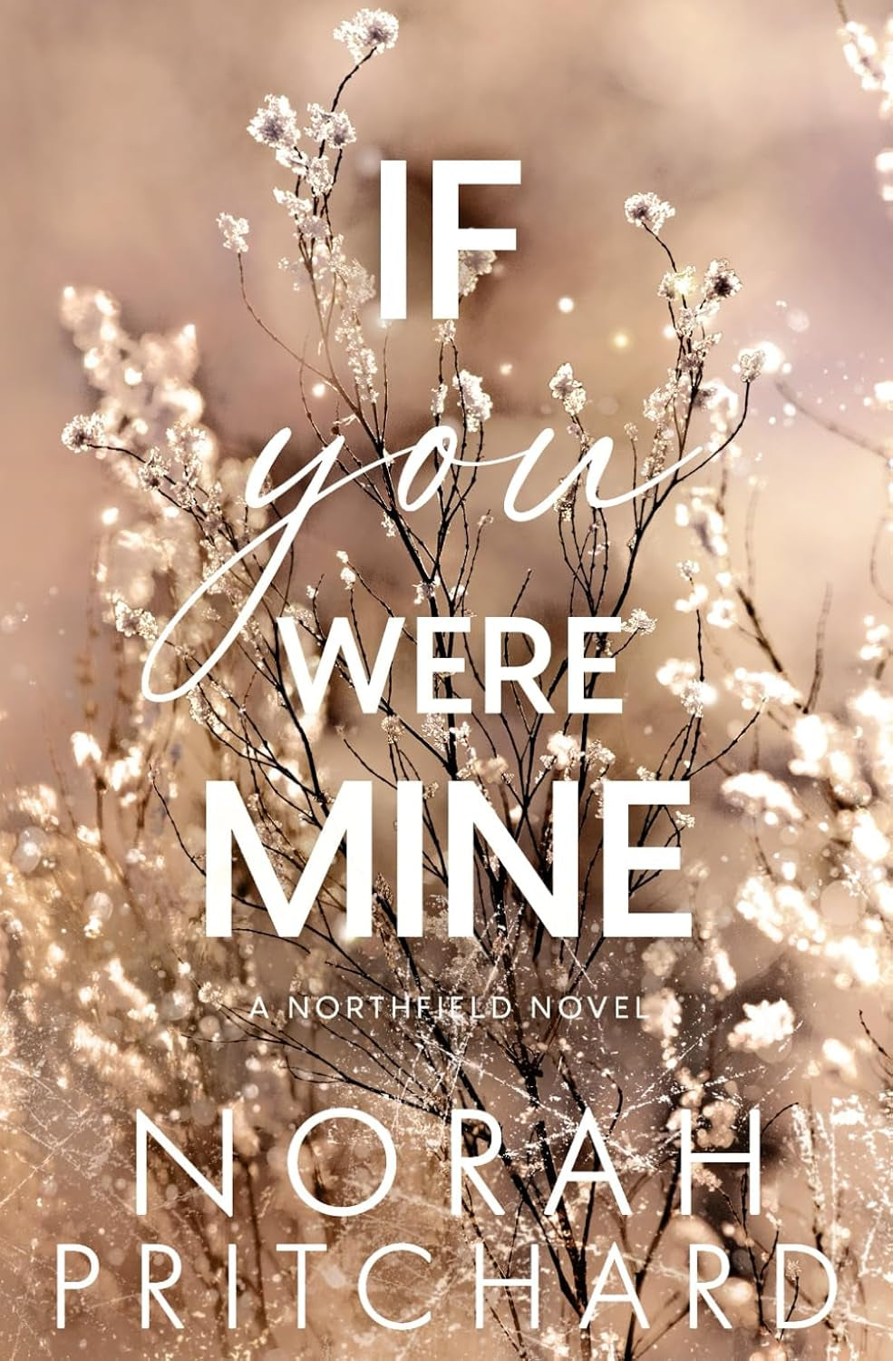 If You Were Mine: A Steamy Grumpy-Sunshine, Runaway Bride, Small-Town Christmas Romance (Northfield Series)