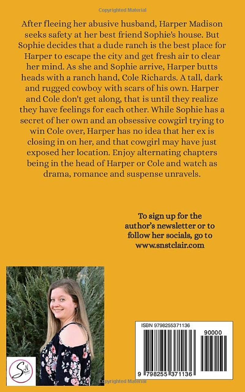 Summer at the Dude Ranch: Dude Ranch Contemporary Romance