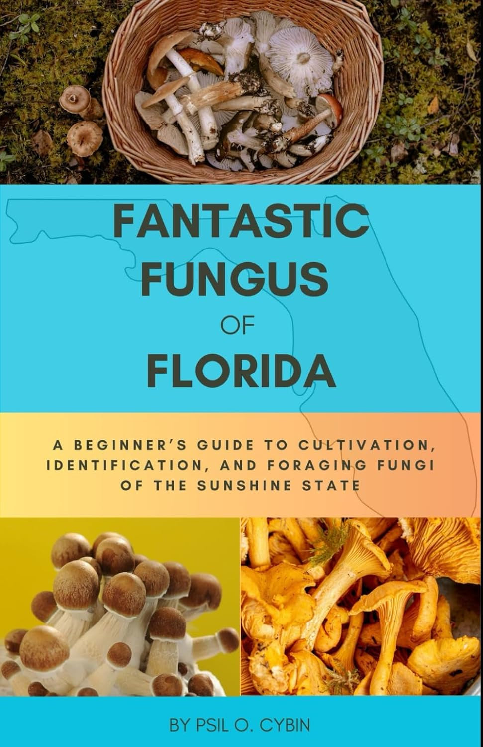 Fantastic Fungus of Florida: A beginner’s guide to cultivation, identification, and foraging fungi of the sunshine state
