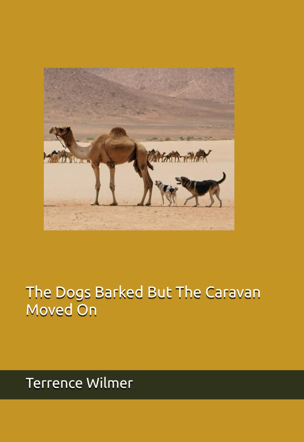 The Dogs Barked But The Caravan Moved On