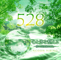 Prepare your mind and body ~ Love frequency 528Hz ~