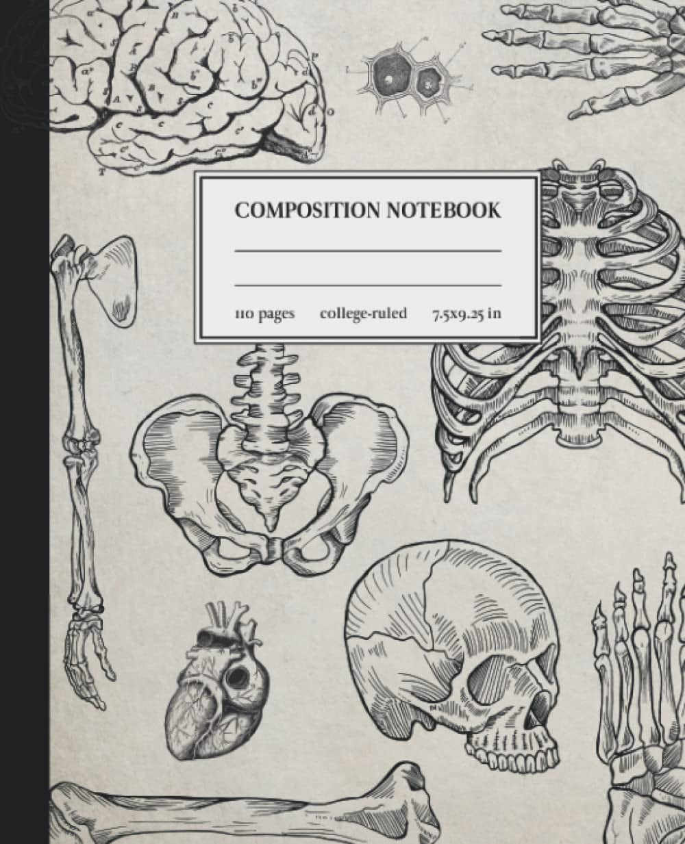Composition Notebook College Ruled: Antique Human Anatomy Vintage Medical Illustration. Skull Skeleton Med School Student Gift Journal. Wide Lined.