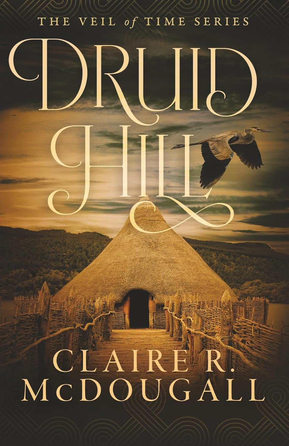 Druid Hill: A Veil of Time Novel (Book 2) (The Veil of Time Series)