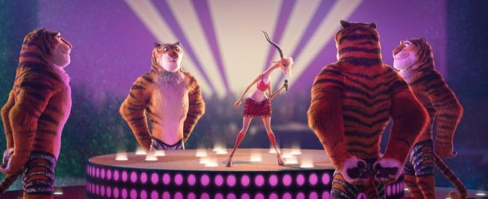 Zootopia (2016) - Multi Screen Edition [ Blu-ray + DVD]
