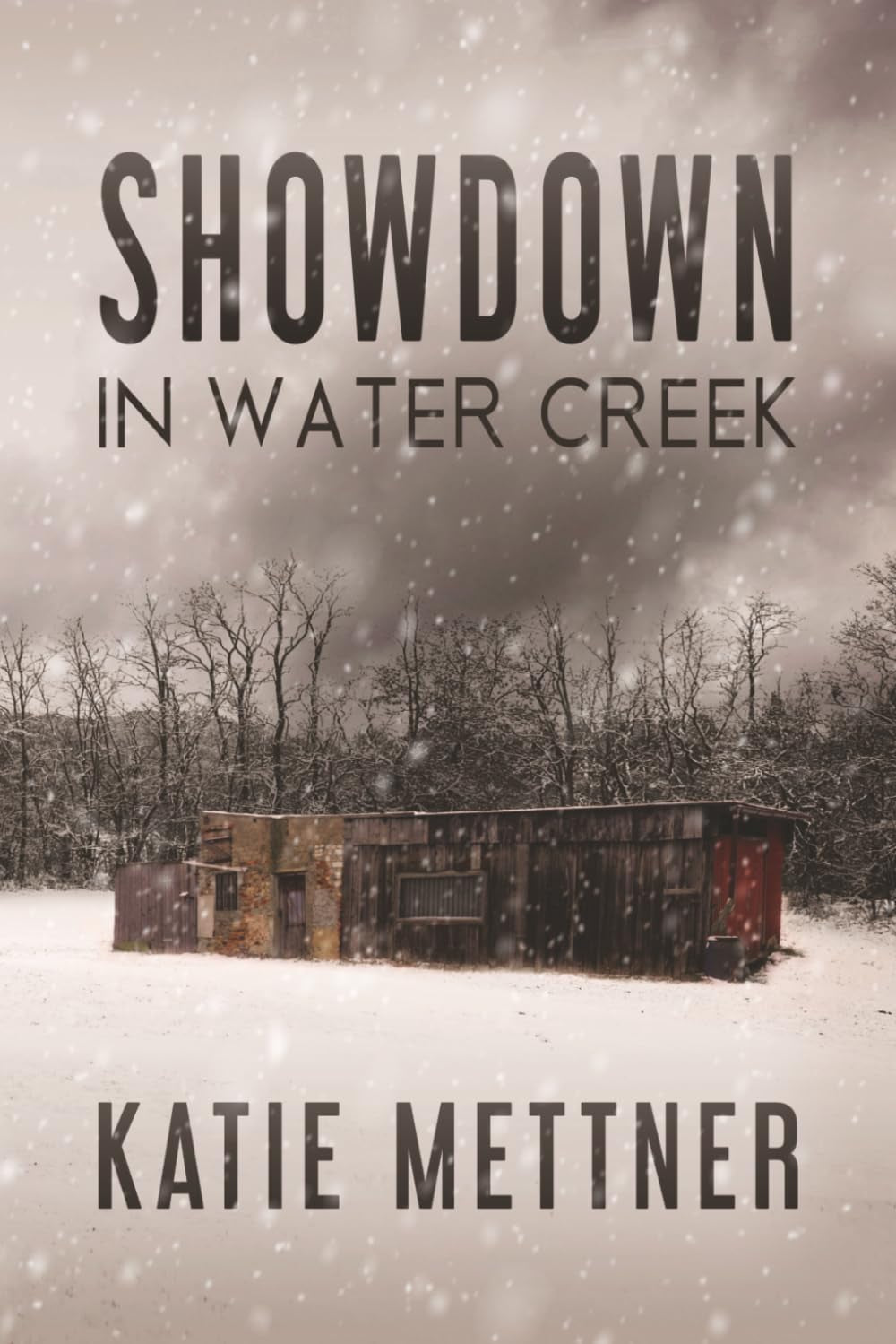 Showdown in Water Creek: A Small Town Romantic Suspense with Dark Twists (The Lawmen of Water Creek)