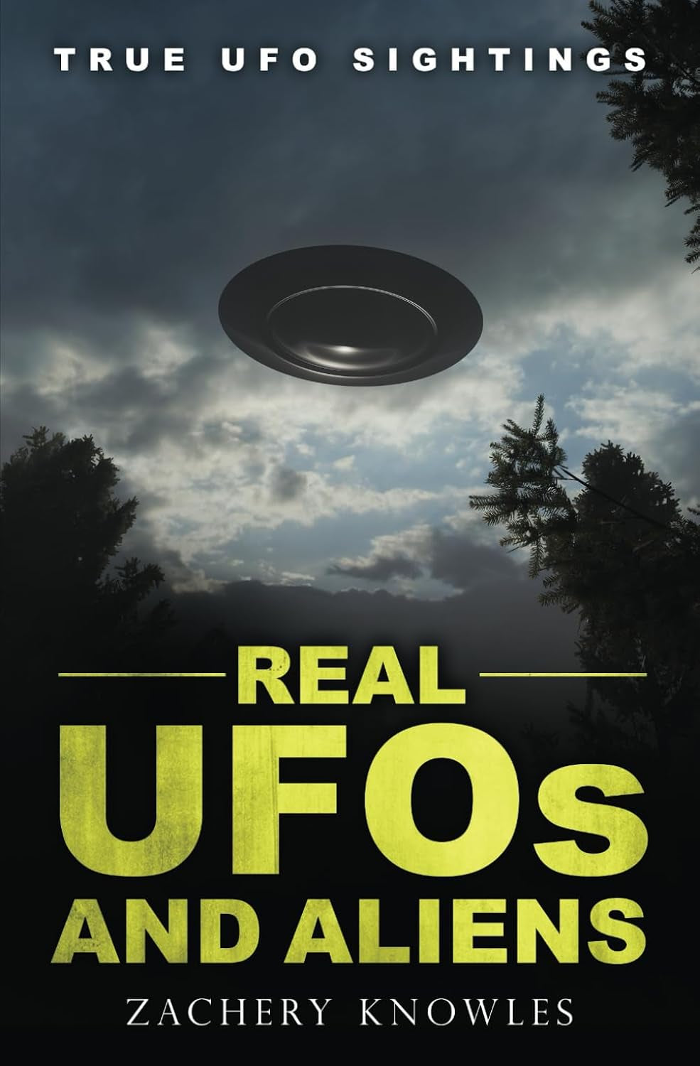 True UFO Sightings: Real UFOs and Aliens (True Ghost Stories)
