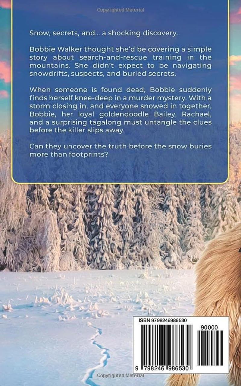 A Frosty Find (Lakeside Cottage Cozy Mysteries)