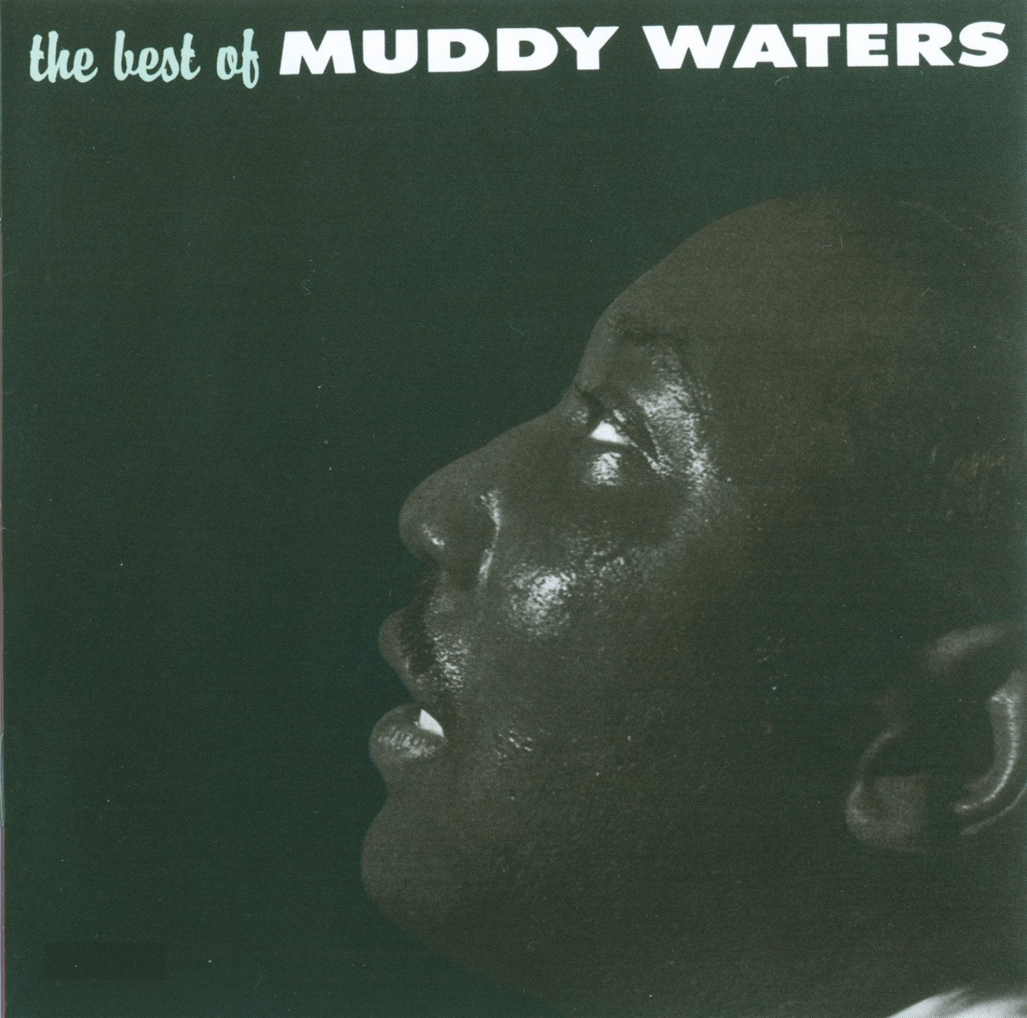 Best of Muddy Waters