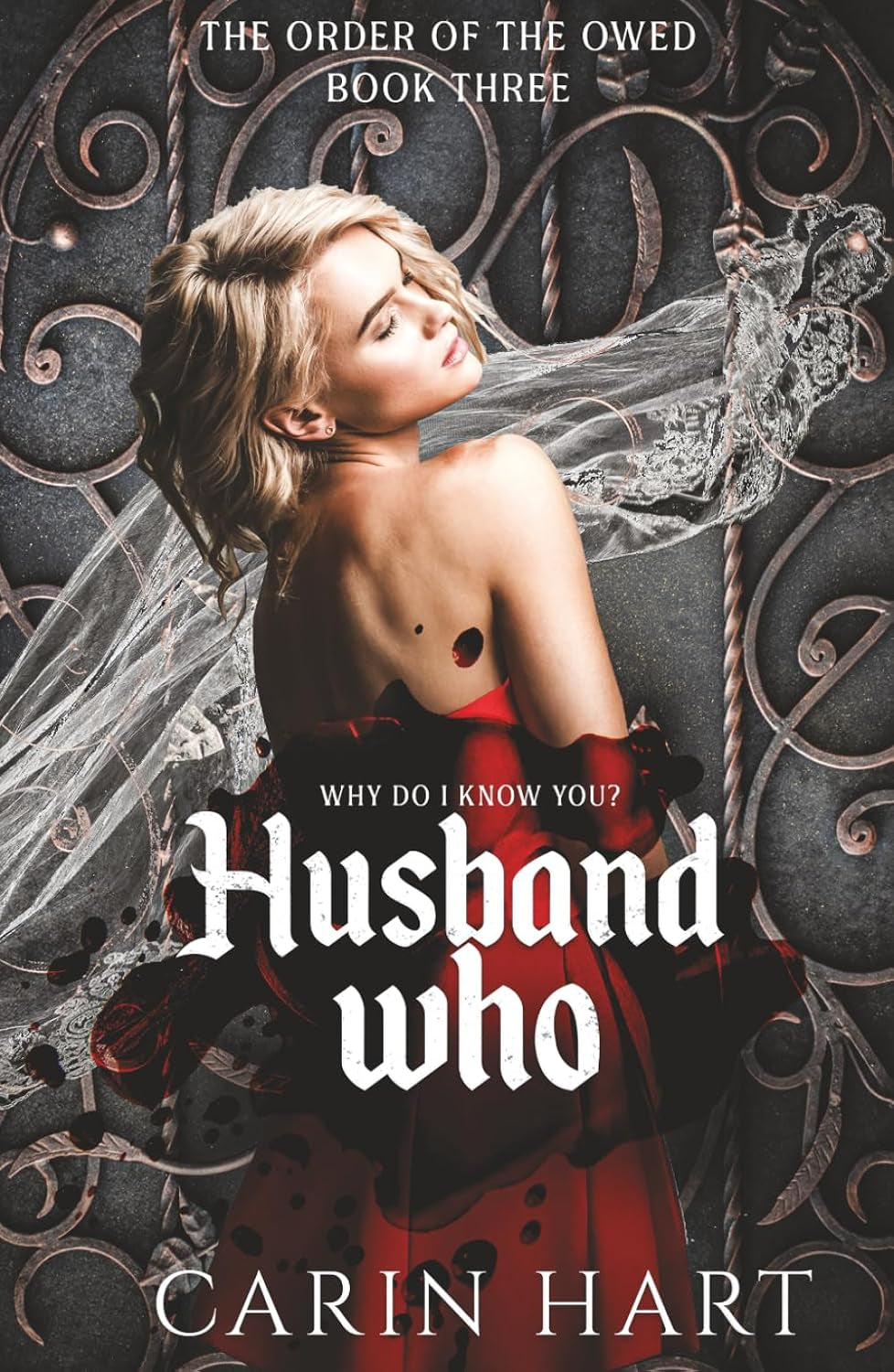 Husband Who (The Order of the Owed)
