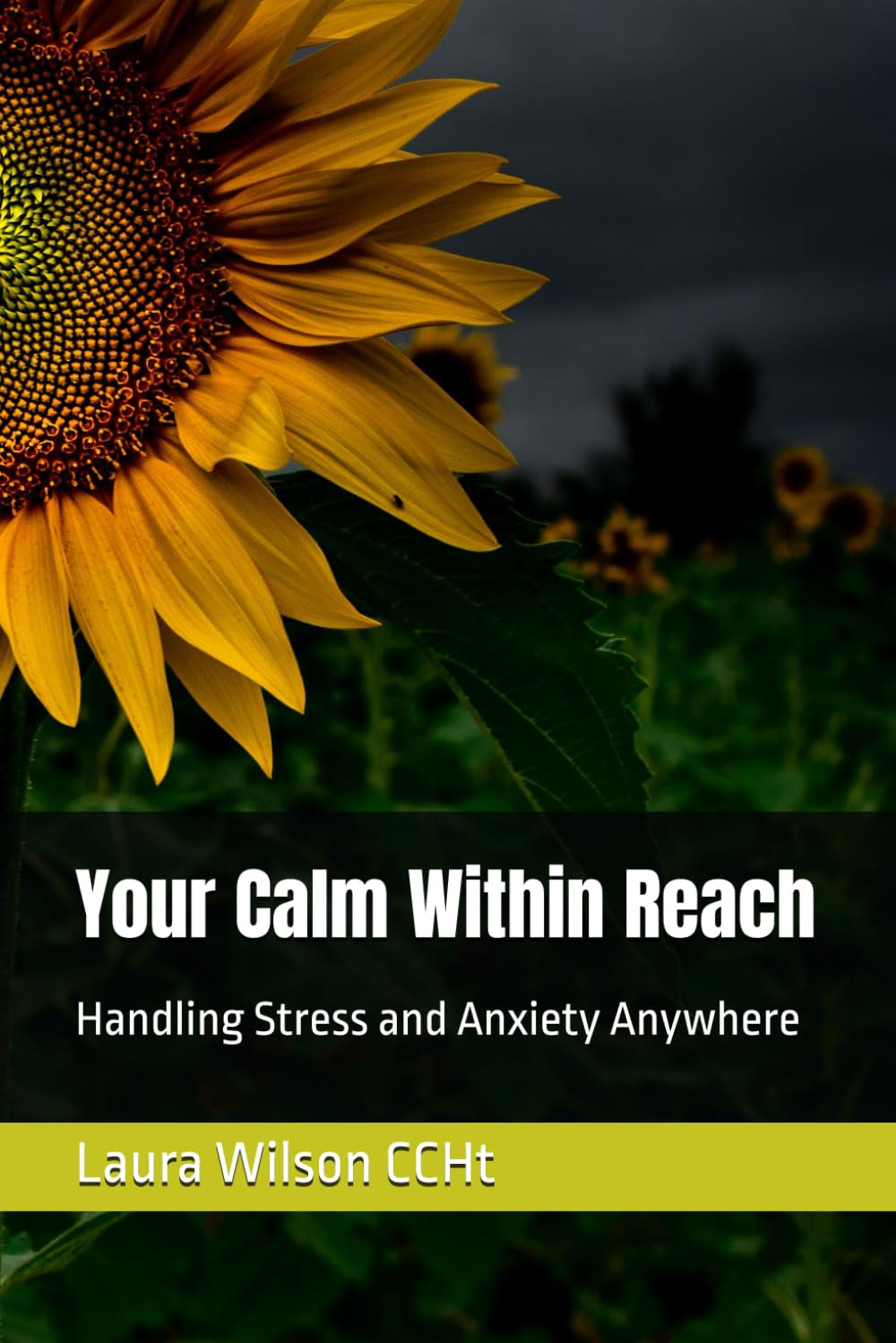 Your Calm Within Reach: Handling Stress and Anxiety Anywhere