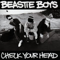 Check Your Head Explicit Lyrics