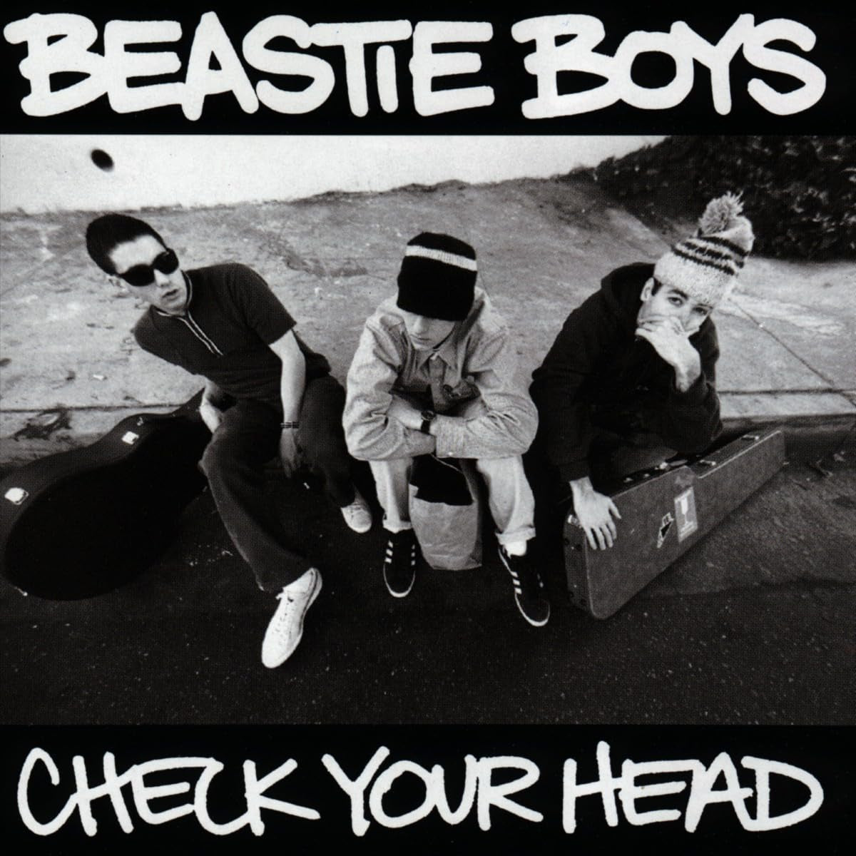 Check Your Head Explicit Lyrics