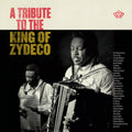 Tribute To The King Of Zydeco