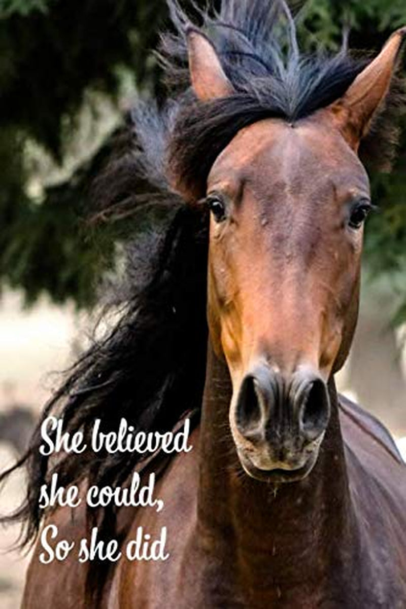 She believed she could, so she did: inspirational wide-lined blank journal for women and girls who love horses