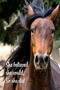 She believed she could, so she did: inspirational wide-lined blank journal for women and girls who love horses