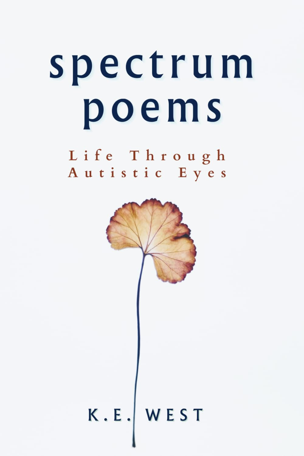 Spectrum Poems: Life Through Autistic Eyes