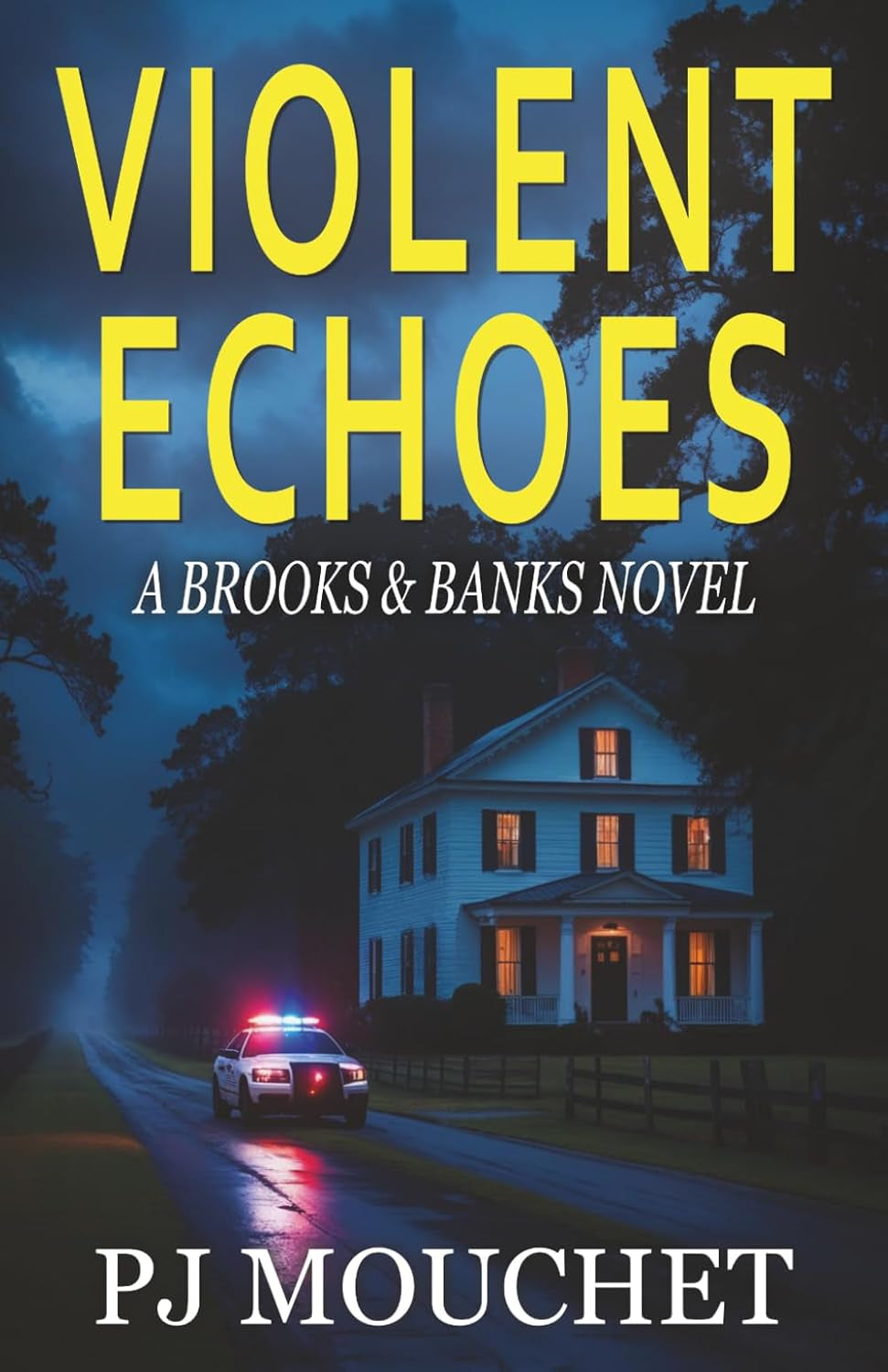 Violent Echoes: A Brooks & Banks Novel