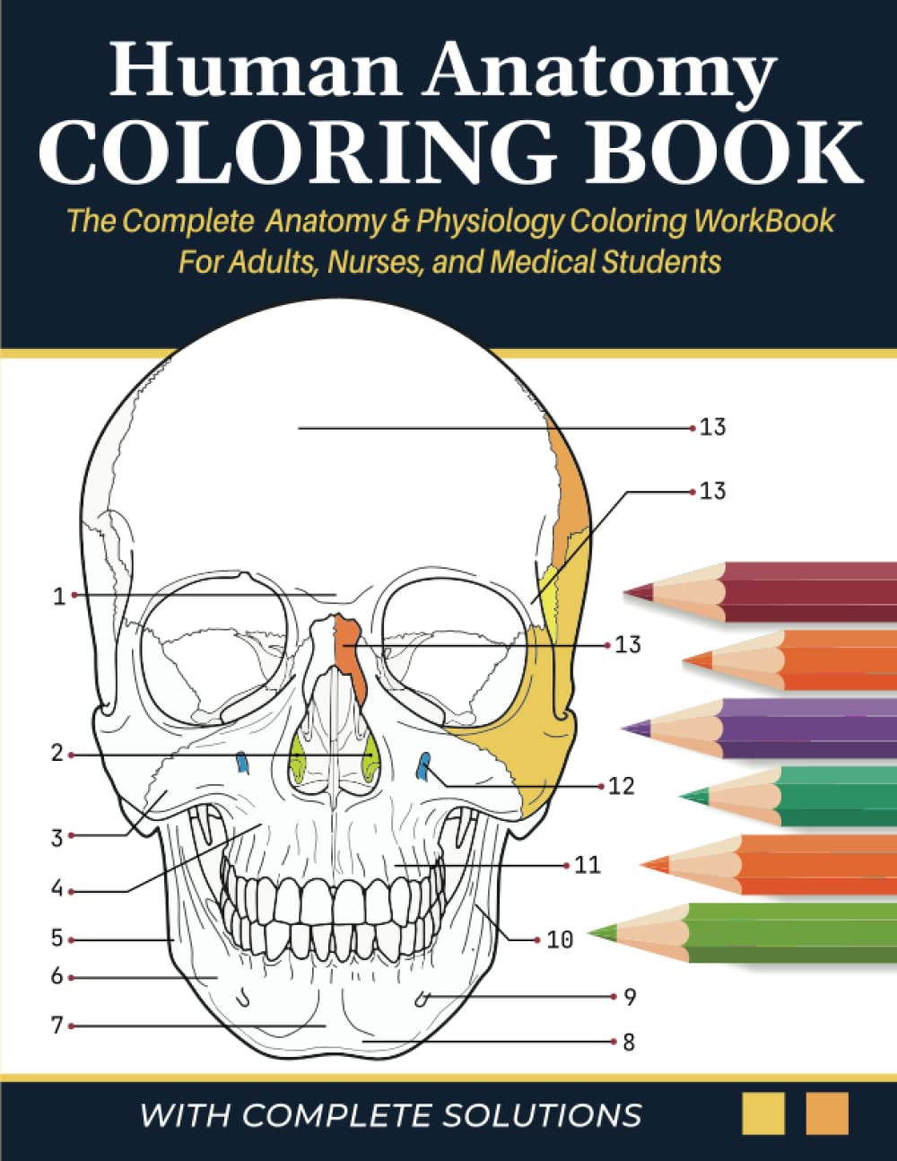 Human Anatomy Coloring Book - The Complete Anatomy & Physiology Coloring Workbook for Adults, Nurses & Medical Students: A&P Quick Self Assessment Study Guide