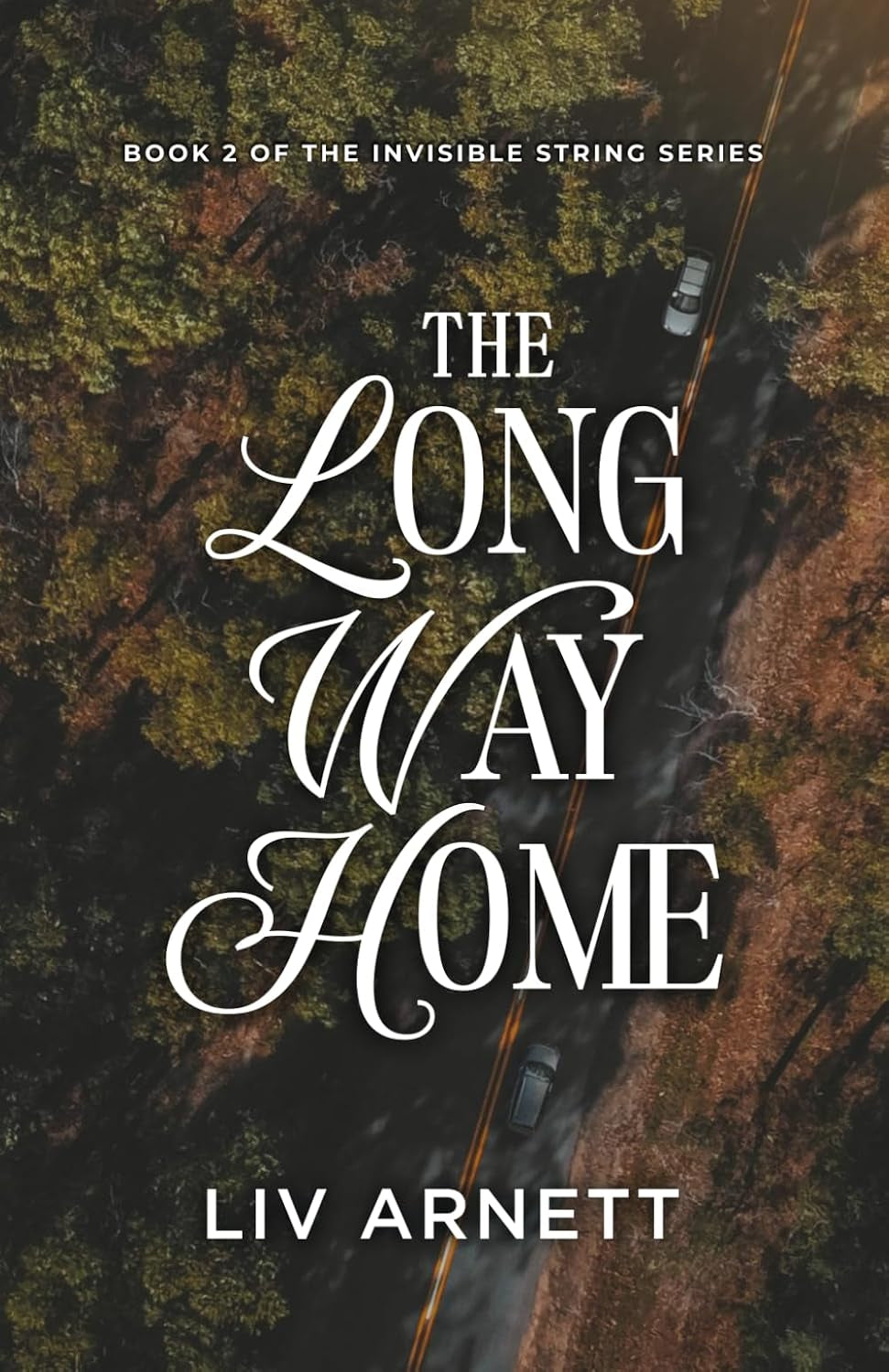 The Long Way Home (The Invisible String Series)