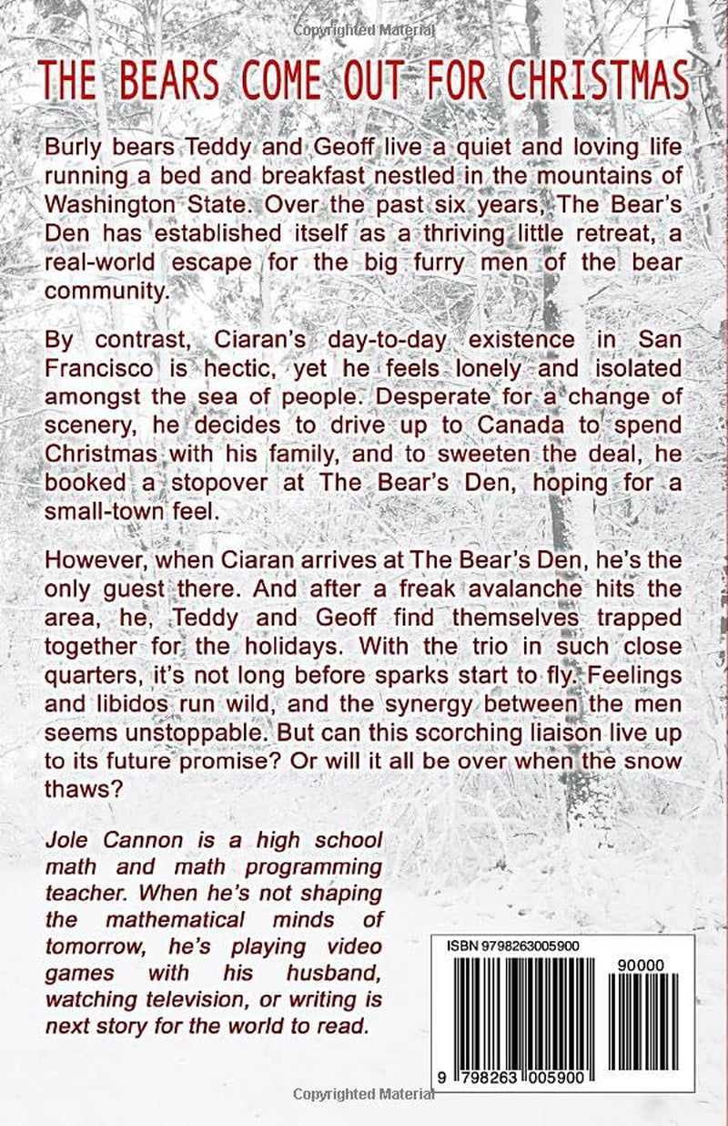 A Beary Merry Christmas: A Holiday Romance