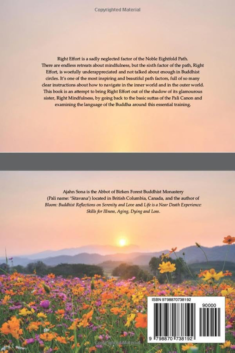 What Comes Before Mindfulness?: Effective Effort: How to Garden Your Inner Life