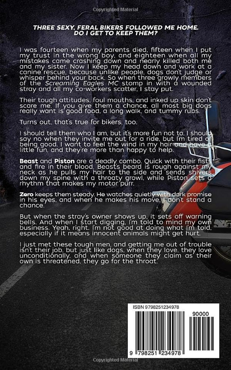 Bad Girl for the Bikers: An MC Reverse Harem Romance (Screaming Eagles MC)