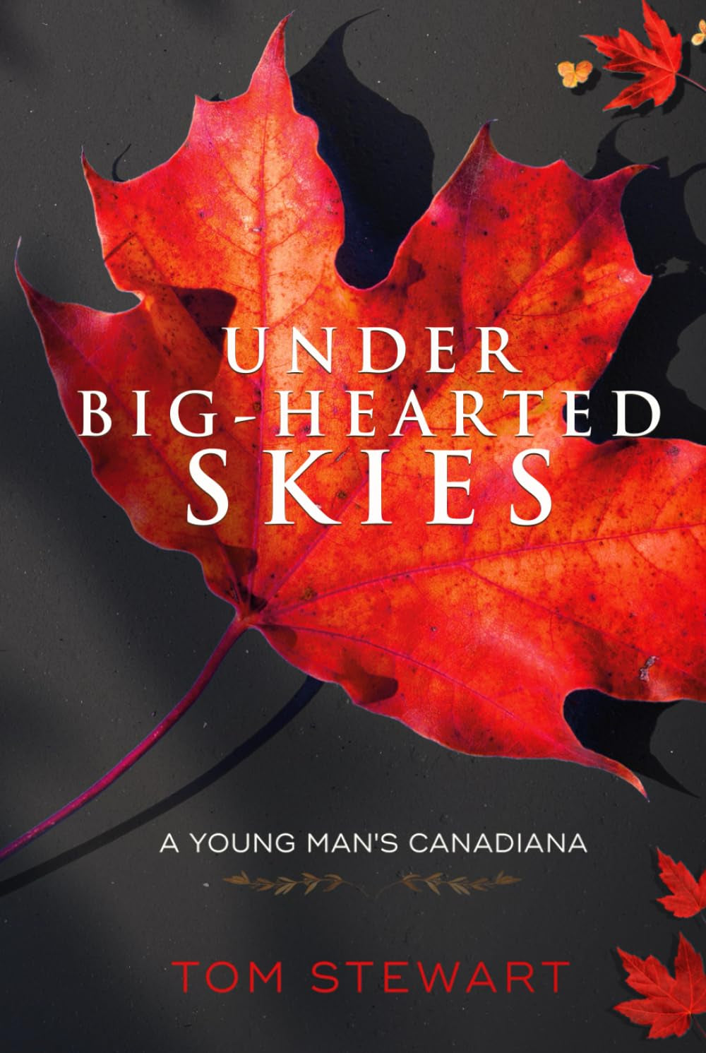 Under Big-Hearted Skies: A Young Man's Memoir of Adventure, Wilderness, & Love