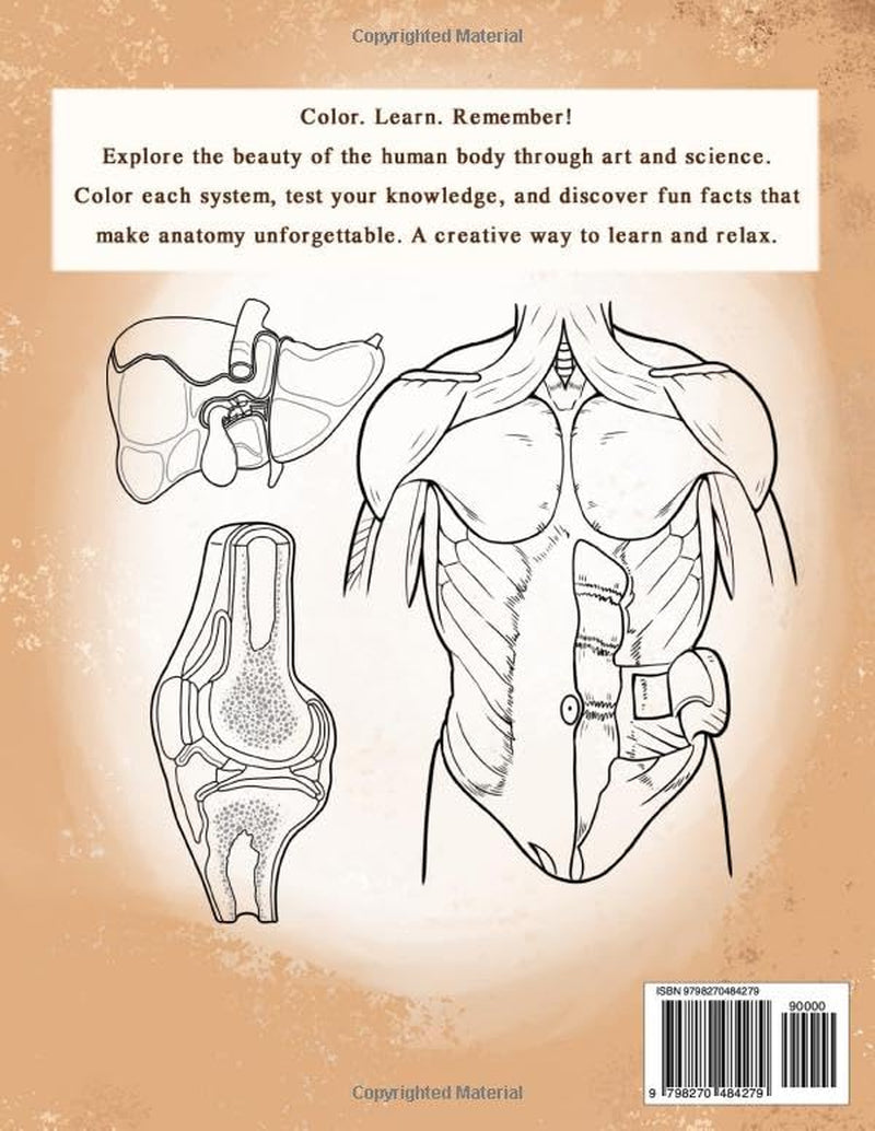Anatomy Coloring Book: Human Body Workbook for Beginners, Medical Students, and Nurses, Detailed Diagrams of Major Systems to Color and Learn (Anatomy for Beginners)