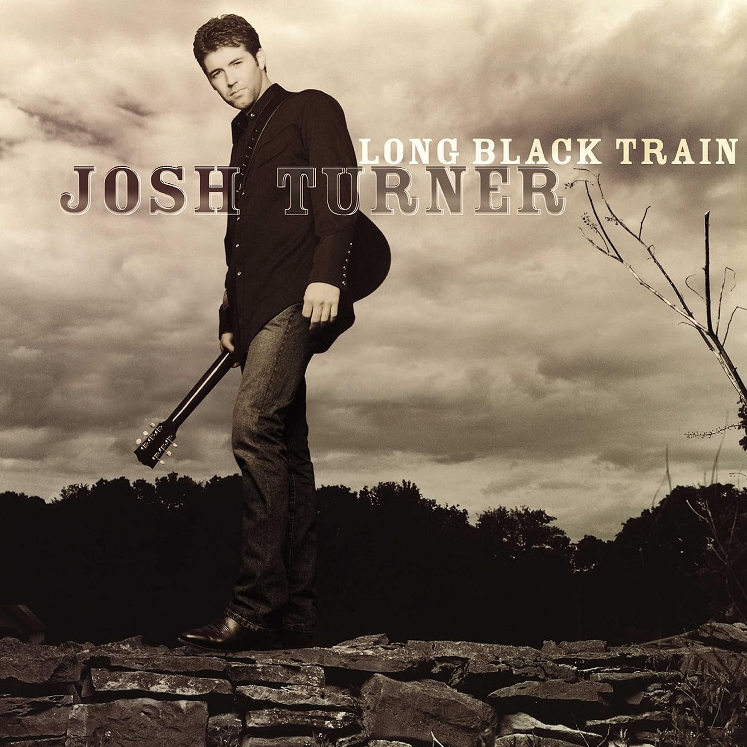 Long Black Train[LP]