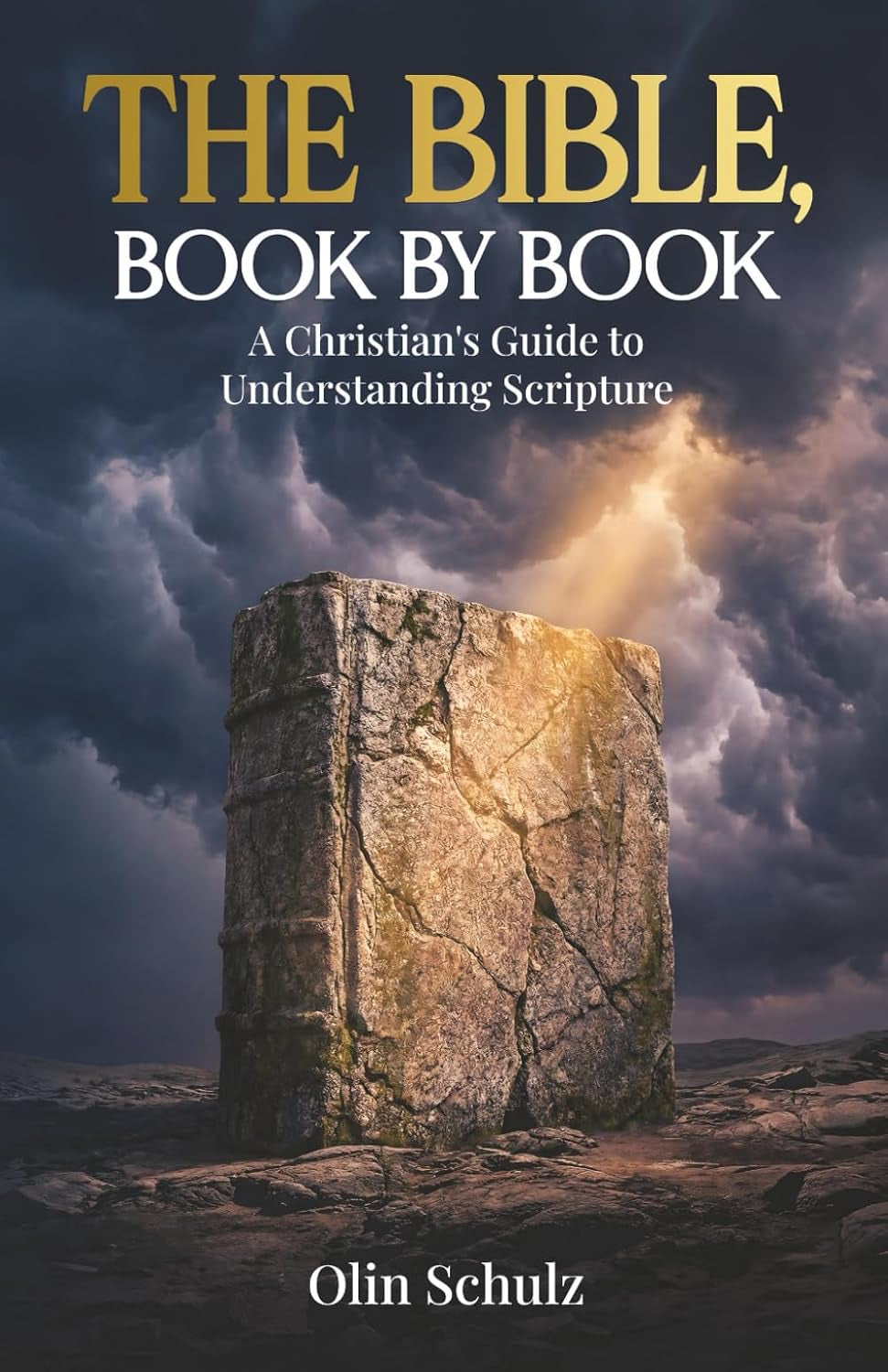 The Bible, Book by Book: A Christian’s Guide to Understanding Scripture