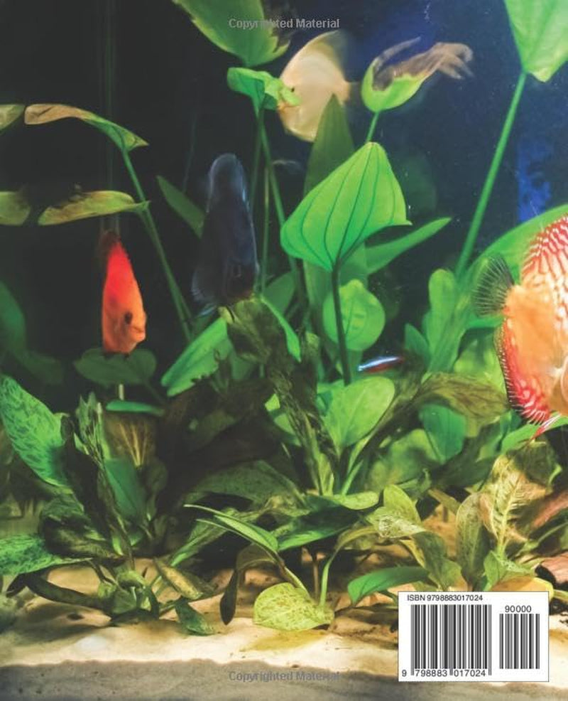 Fishkeeping 101: The Ultimate Novice's Guide to Aquarium Care: Comprehensive Book for Beginners.