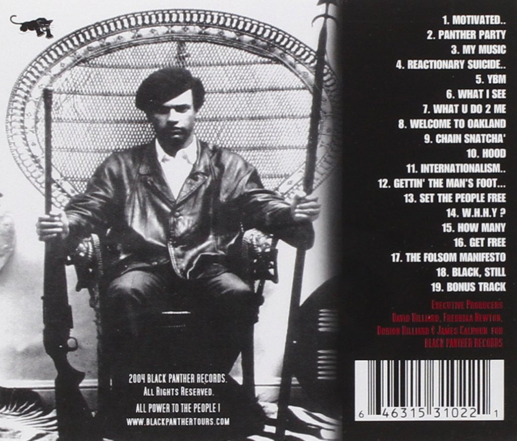 The Revolutionary Analysis Of Sweet Sweetback