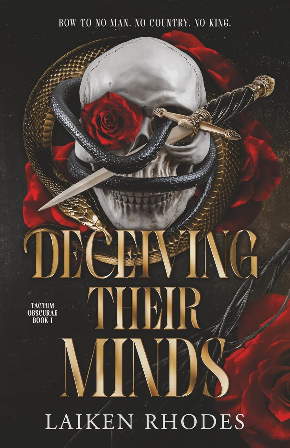 Deceiving Their Minds: A Dark Secret Society Romantic Suspense (Tactum Obscurae)