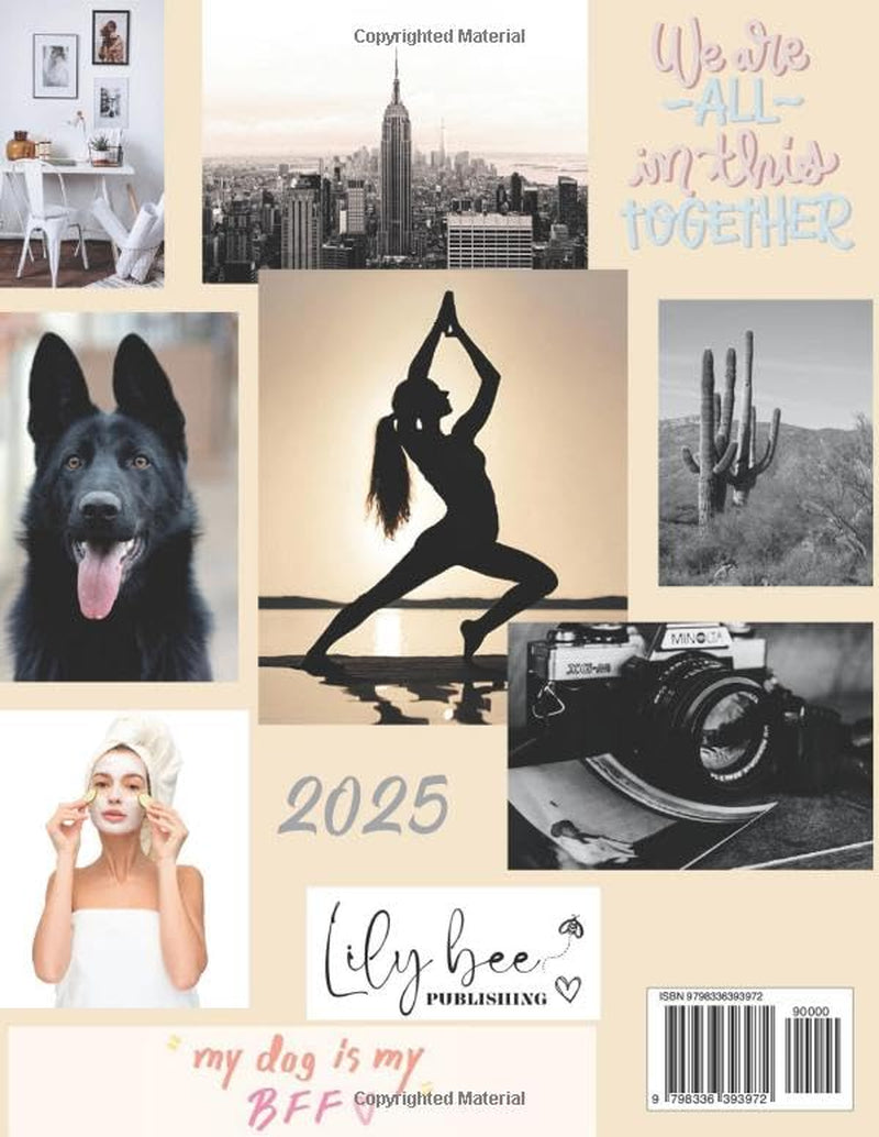 Minimalistic Vision Board Book: Images, pictures, and quotes to visualize and create your ultimate goals