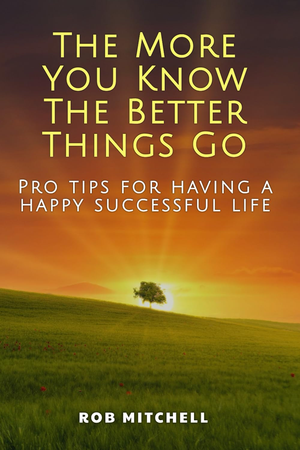 THE MORE YOU KNOW THE BETTER THINGS GO: Pro tips for having a happy successful life