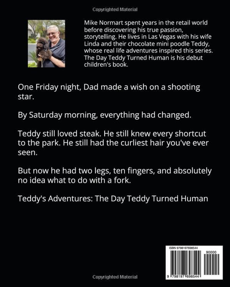 Teddy's Adventures: The Day Teddy Turned Human