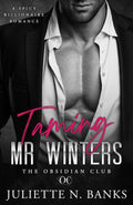Taming Mr Winters: Spicy Billionaire Romance (The Obsidian Series)
