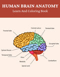 Human Brain Anatomy Learn and Coloring Book: Engage Your Mind While Coloring the Brain