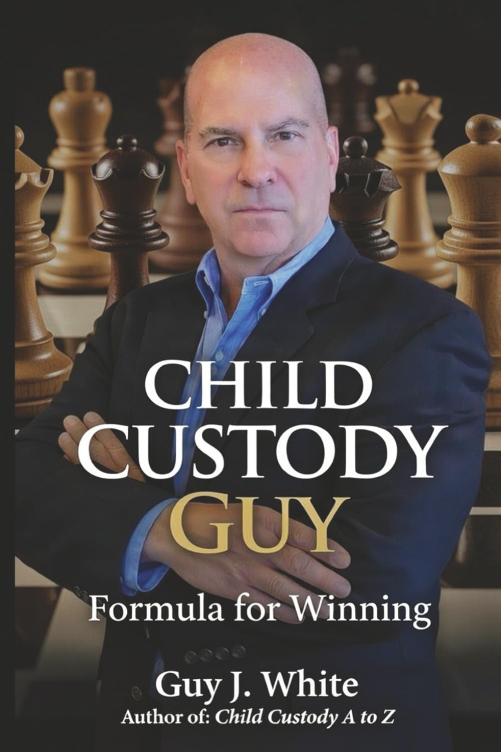 Child Custody Guy: Formula for Winning
