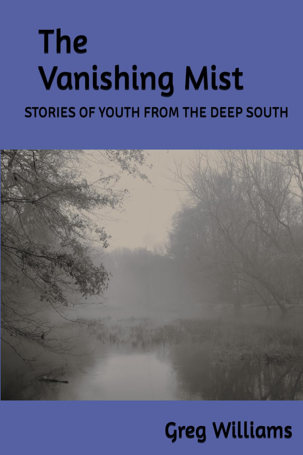 The Vanishing Mist: STORIES OF YOUTH FROM THE DEEP SOUTH.