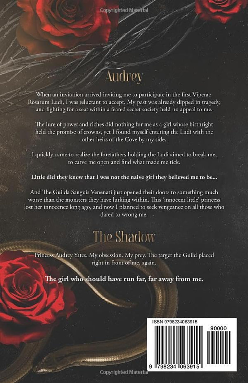 Deceiving Their Minds: A Dark Secret Society Romantic Suspense (Tactum Obscurae)